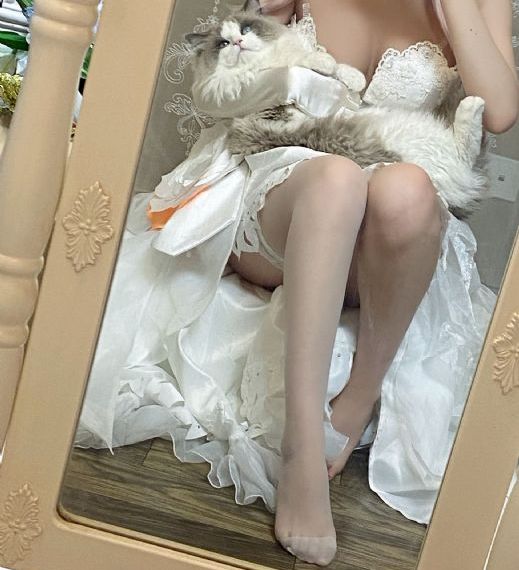 燕交电影_蓝光动漫在线观看